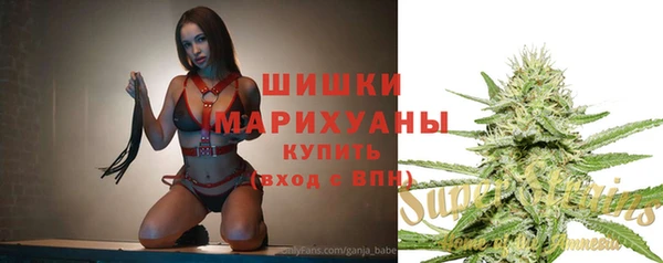 спайс Ельня