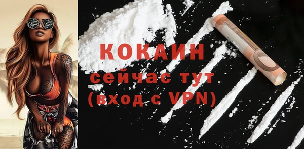 спайс Ельня