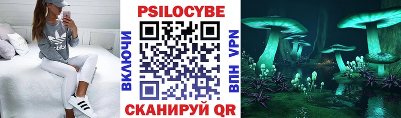 Галлюциногенные грибы мицелий  Купить закладки  Юрьевец 
